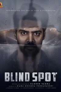 Blind Spot (2025) Hindi-DD5.1 (Multi-Audio) WeB-DL 480p | 720p | 1080p