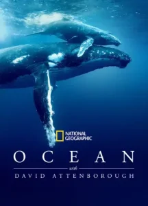 Ocean with David Attenborough (2025) Multi Audio Movie WEB-DL 480p | 720p | 1080p