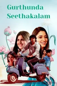 Gurthunda Seethakalam (2022) UNCUT [Hindi DD5.1 + Telugu DD2.0] 480p | 720p|  1080p