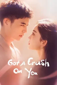 Got a Crush on You (Season 1) Hindi ORG Dubbed Series WEB-DL