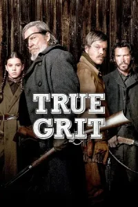 True Grit (2010) Dual Audio {Hindi-English} BluRay 480p  | 720p | 1080p